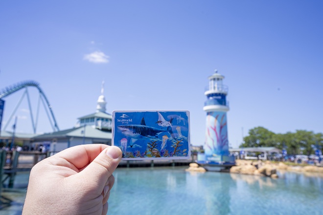 2026 Guy Harvey Stock Image Card