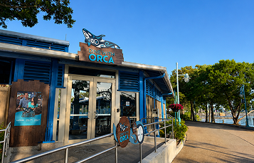 Dine with Orcas