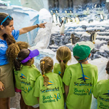 Summer Camp at SeaWorld Orlando