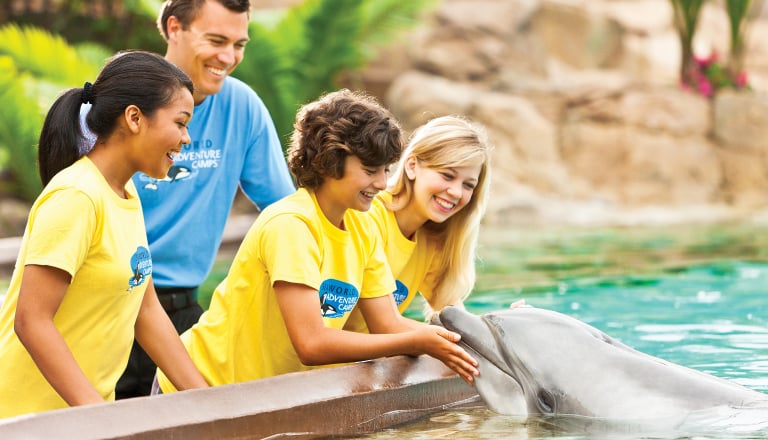 Campers with a dolphin