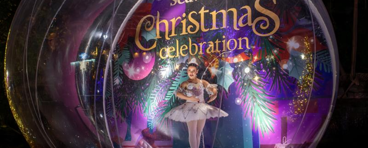 Snow Globe Ballerina