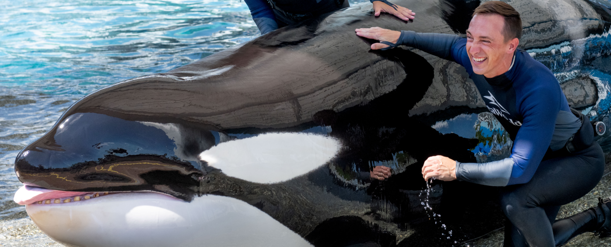 Orca & Dolphin Adventures Christmas Pre Show