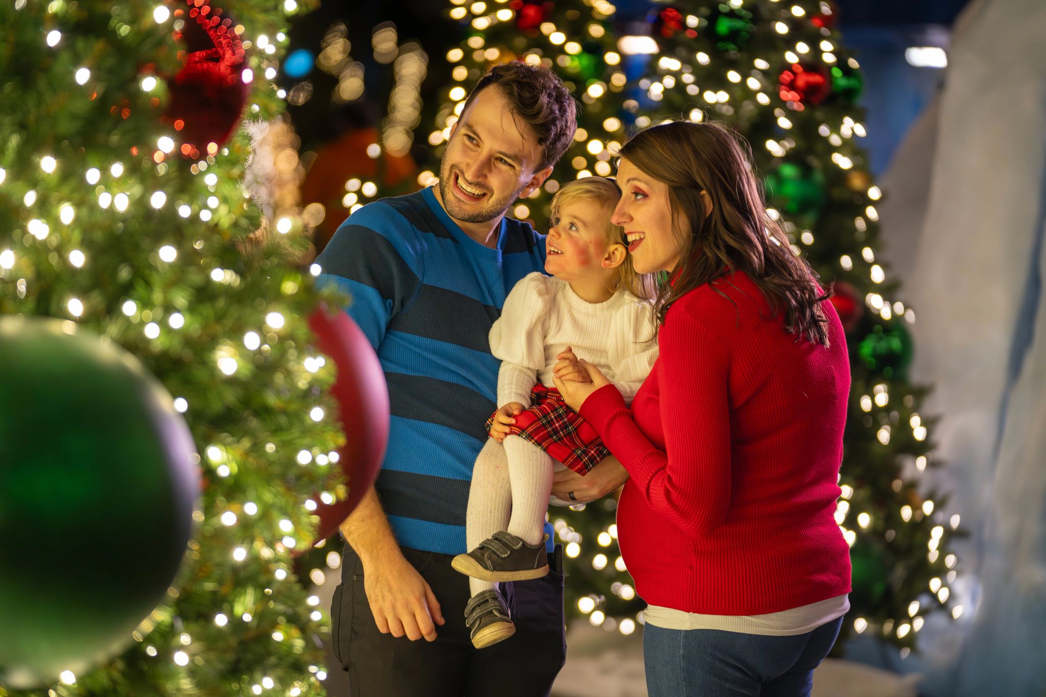 teacher-guest-offers