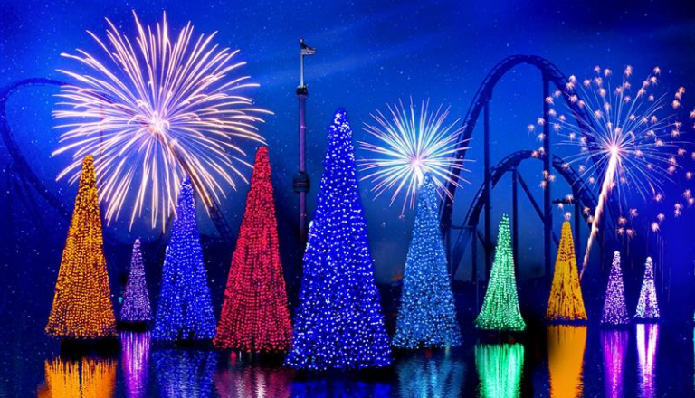 Christmas trees lit up on water in front of roller coasters