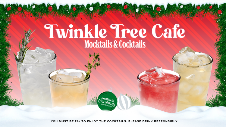 Twinkle Tree Cafe
