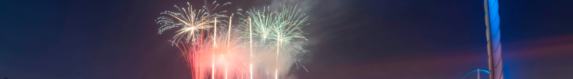 Fireworks at SeaWorld Orlando