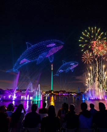 Drone show and fireworks