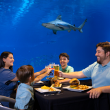 Father's Day Lunch