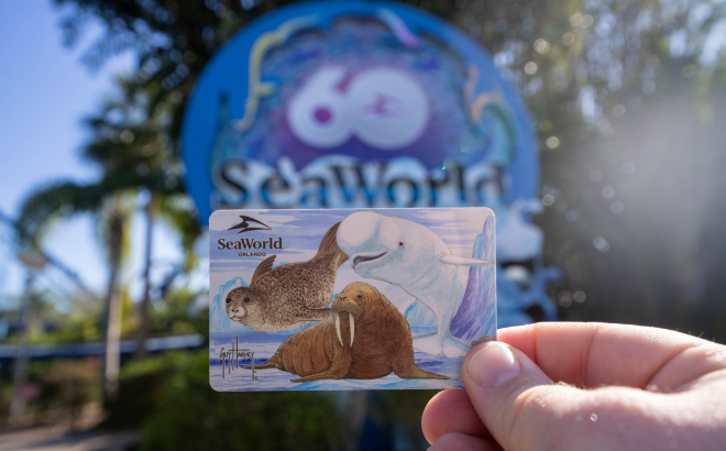 Guy Harvey Stock Card