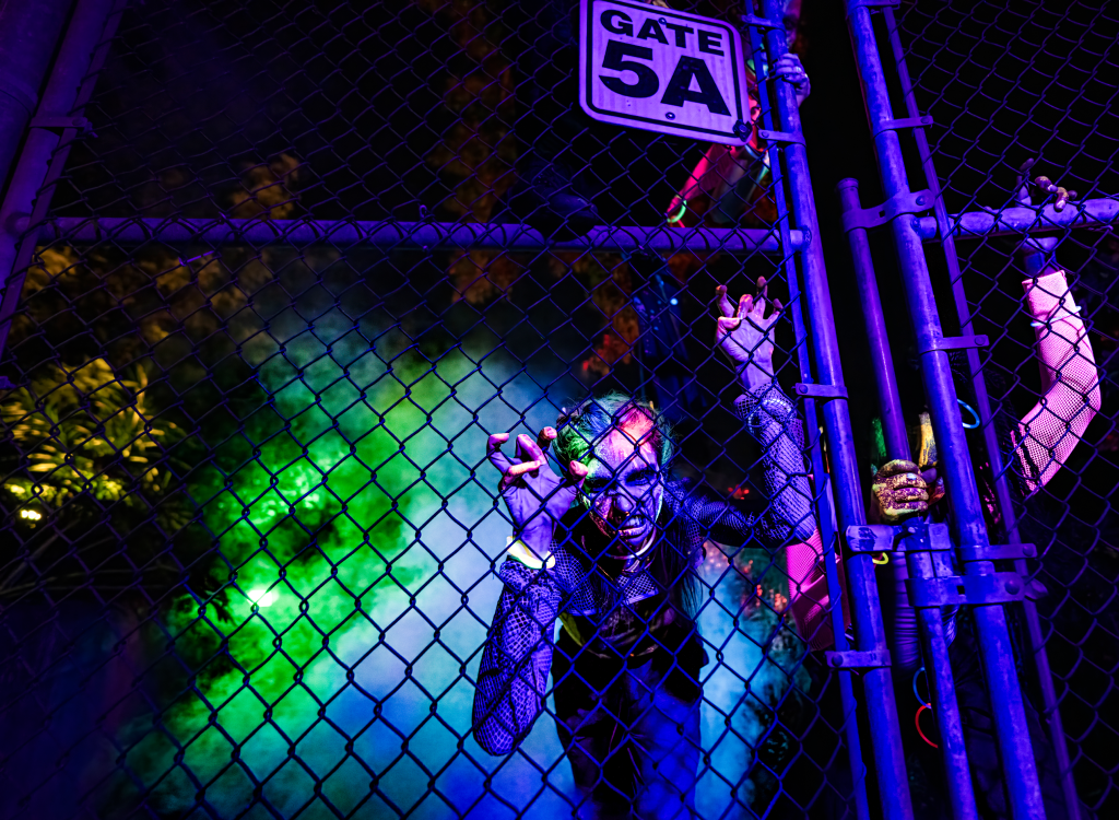 The Rave Yard