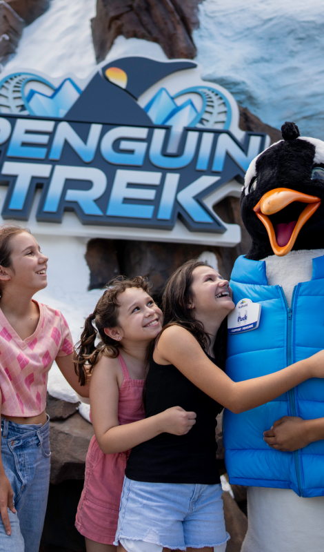 Penguin Trek