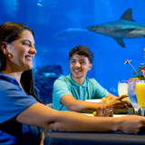 Mother's Day Brunch at Sharks Underwater Grill