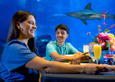 Mother's Day Brunch at Sharks Underwater Grill