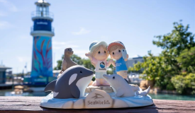 Sea a World of Wonder