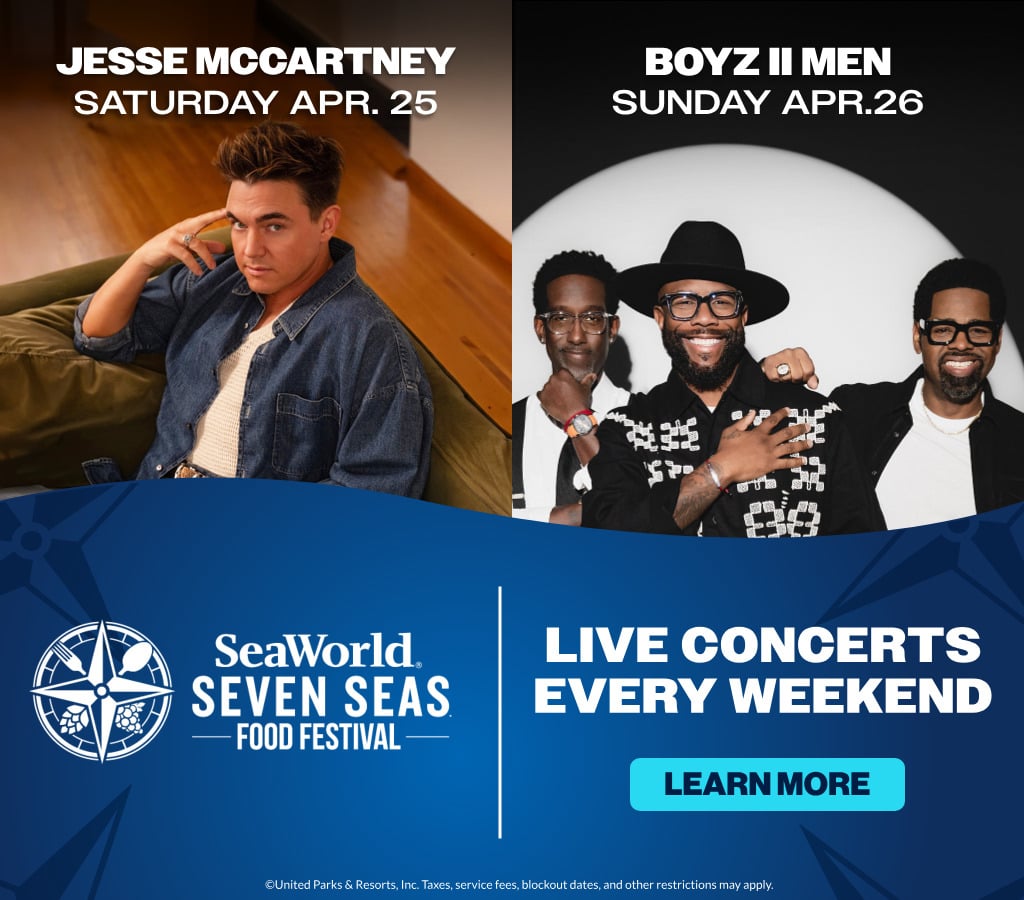 Jesse McCartney & Boyz to Men