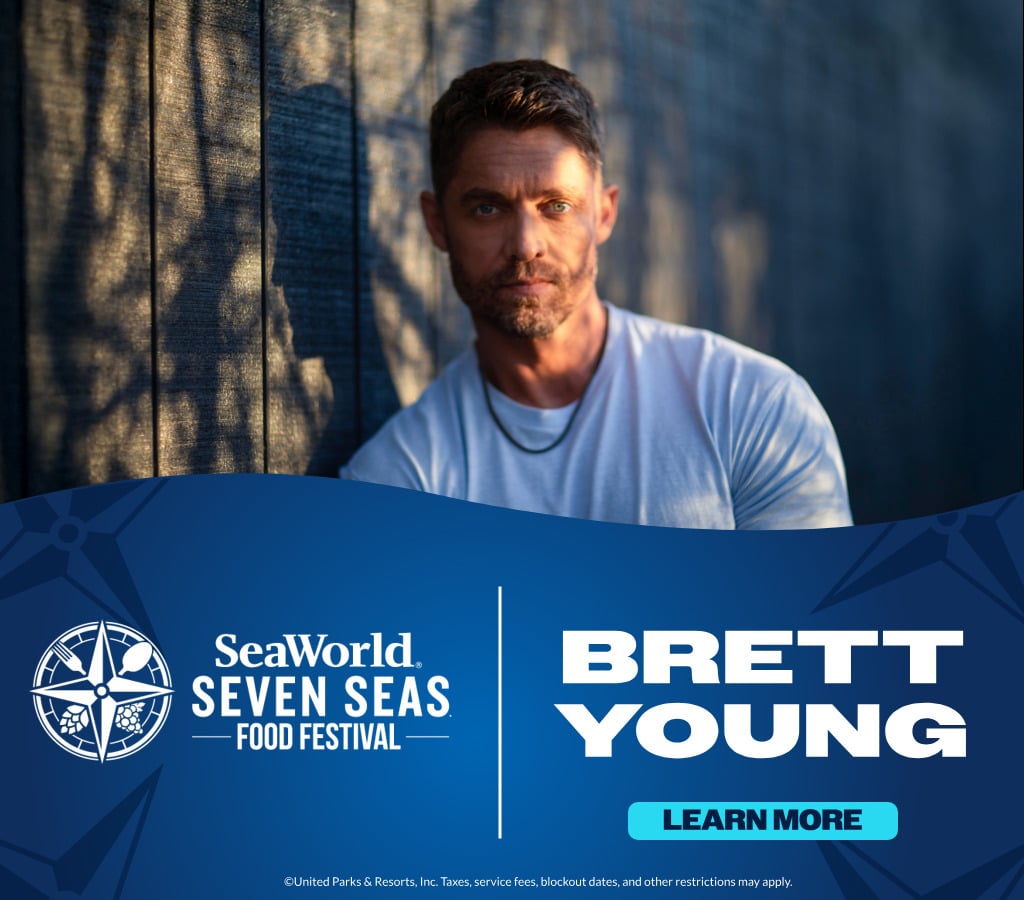 Brett Young in concert