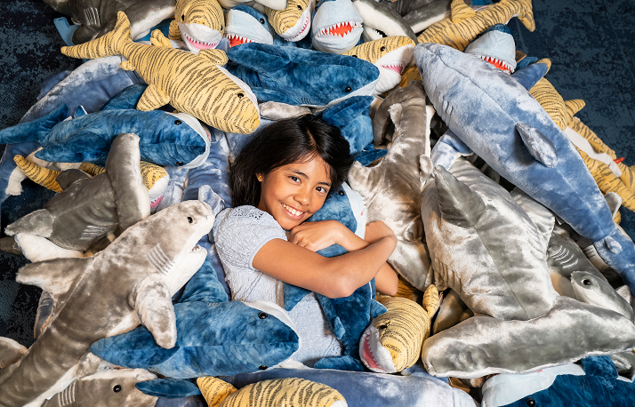 Shark Plush