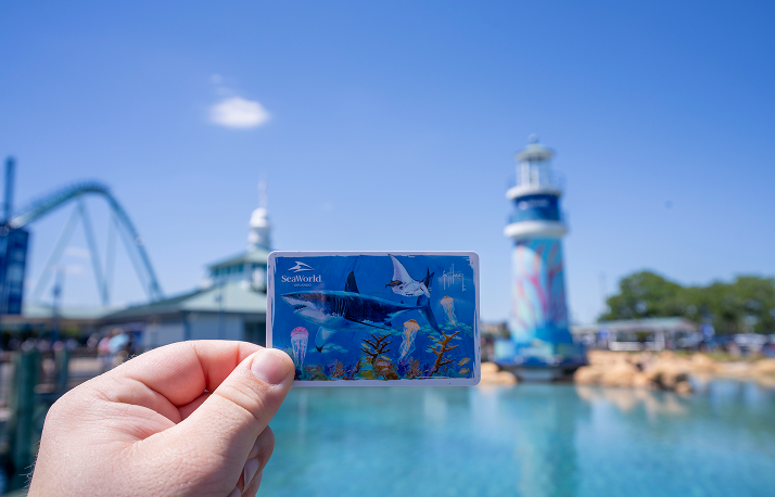 Shark Card