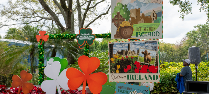 St. Patrick's Day decorations