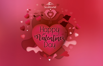 Valentine's Dinner at Shark's Underwater Grill SeaWorld Orlando