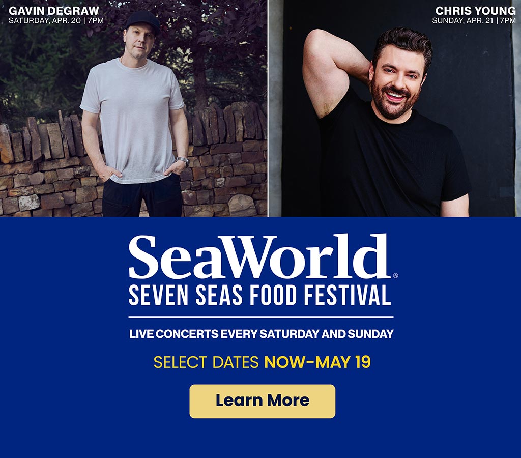 Gavin DeGraw and Chris Young performing at SeaWorld Seven Seas event