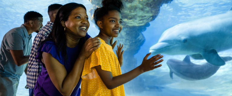 Free Florida Teacher Card