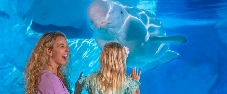 Buy Tickets & Passes