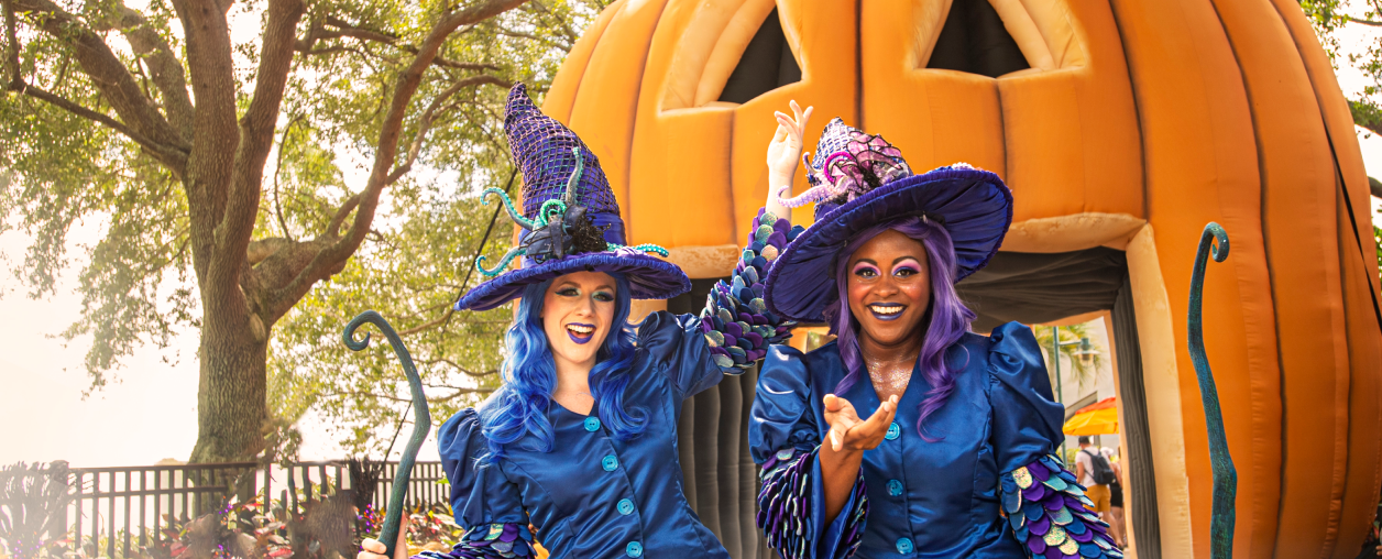 SeaWorld Orlando Fall