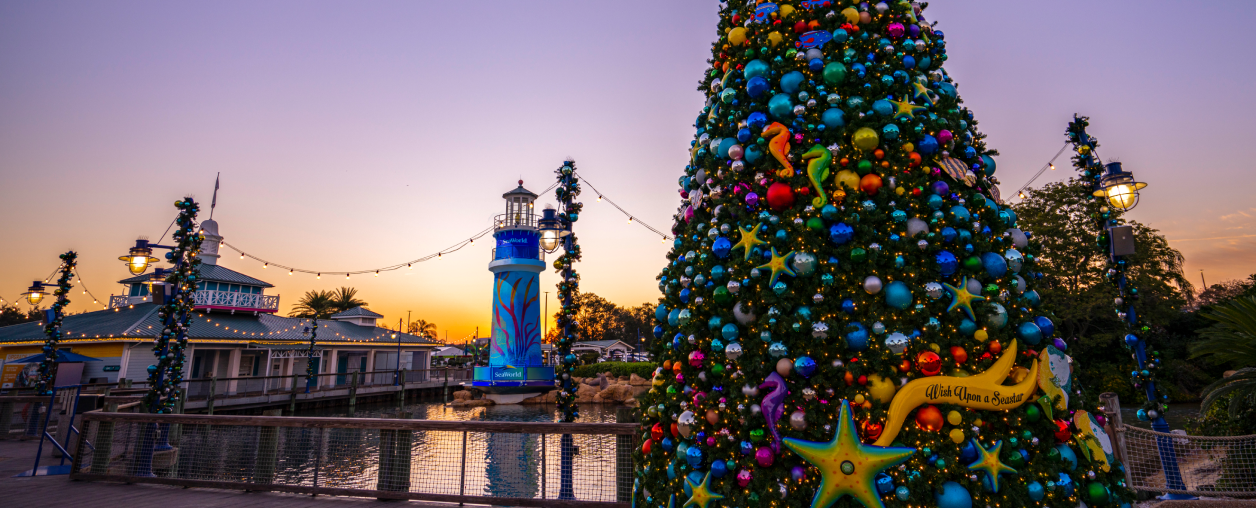 SeaWorld Orlando Winter