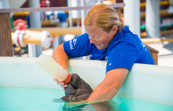 Manatee Rehabilitation Area