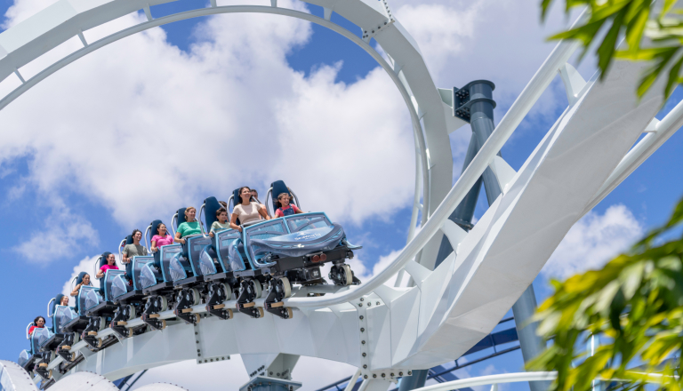 Roller coaster