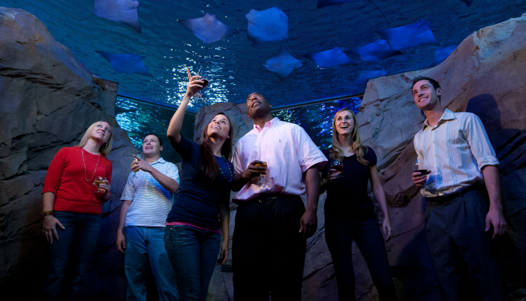 A group of people in an aquarium