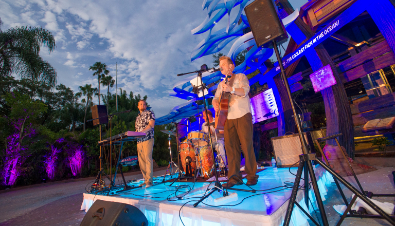 A band on a stage at night