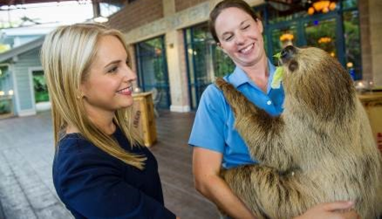 A woman and another woman holding a sloth