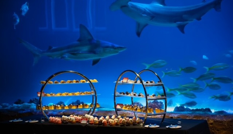 A food spread in front of an aquarium windo