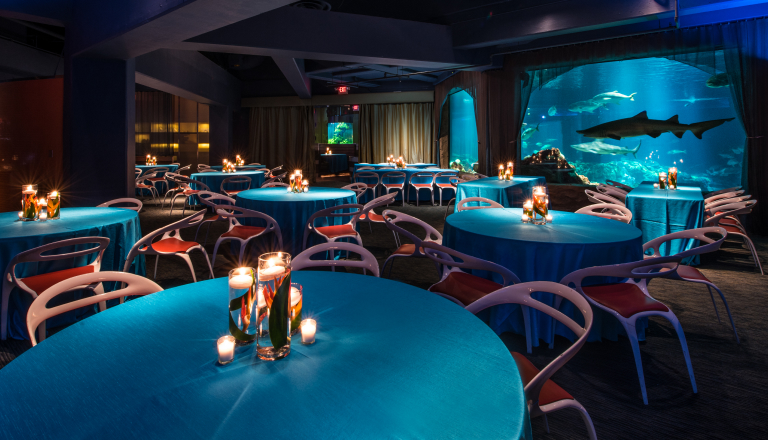 Event space with round tables and blue lighting