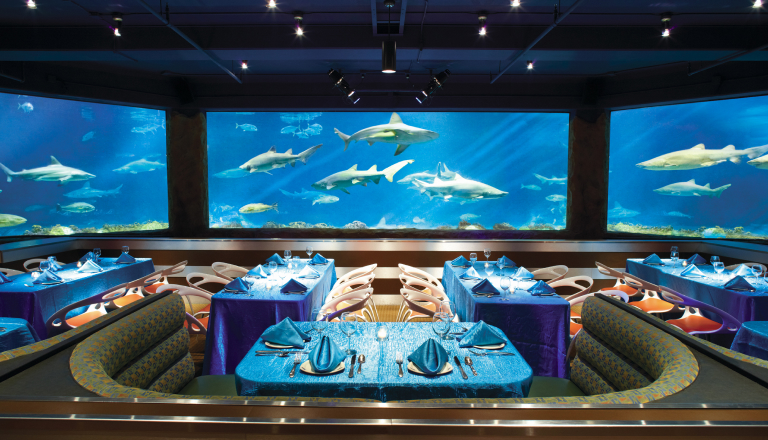 Aquarium room with tables and booths