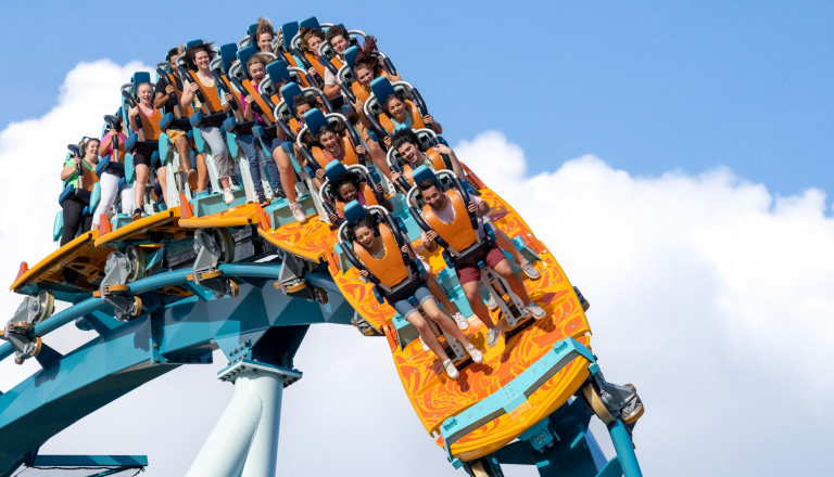 Roller Coaster