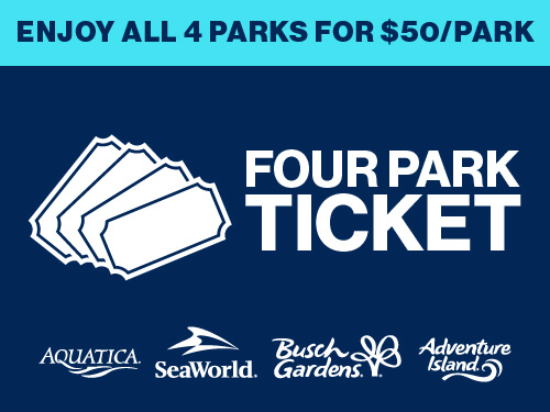 Florida Four Park Ticket