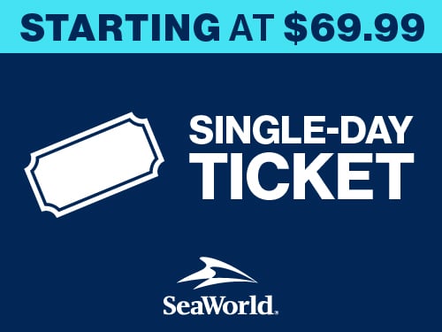 SeaWorld Orlando Single-Day Ticket