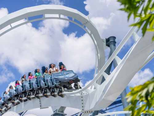 Roller coaster