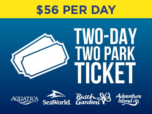 $56 per day