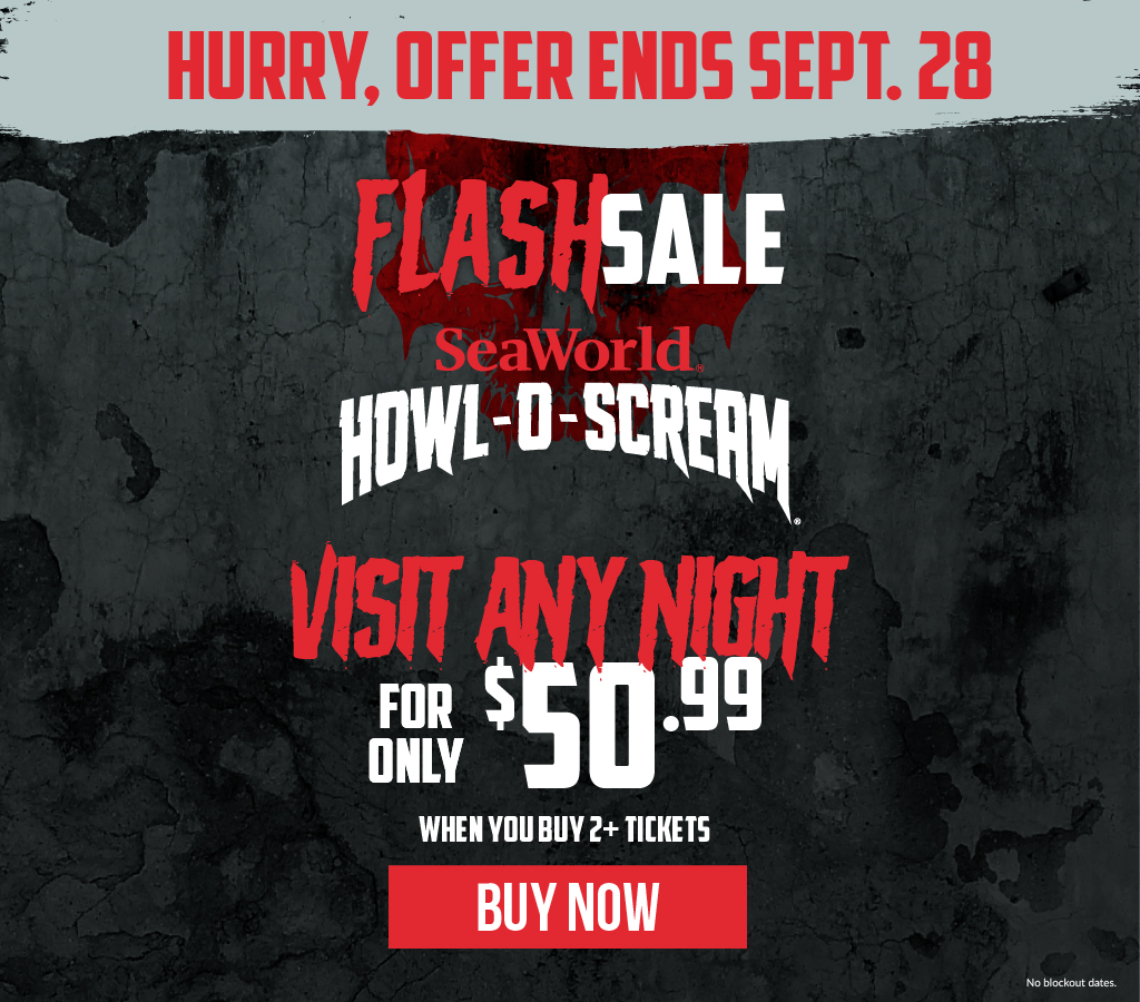 Flash Sale