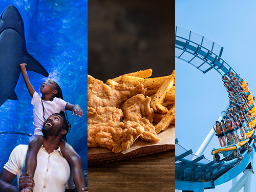 A man with a child on his shoulders, chicken tenders, and a roller coaster