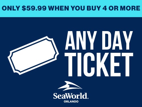 Only $59.99 When You Buy 4 Or More Any Day Ticket