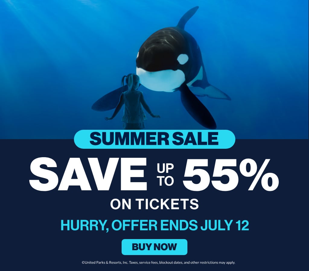 Summer Sale Save up to 55% on Tickets
