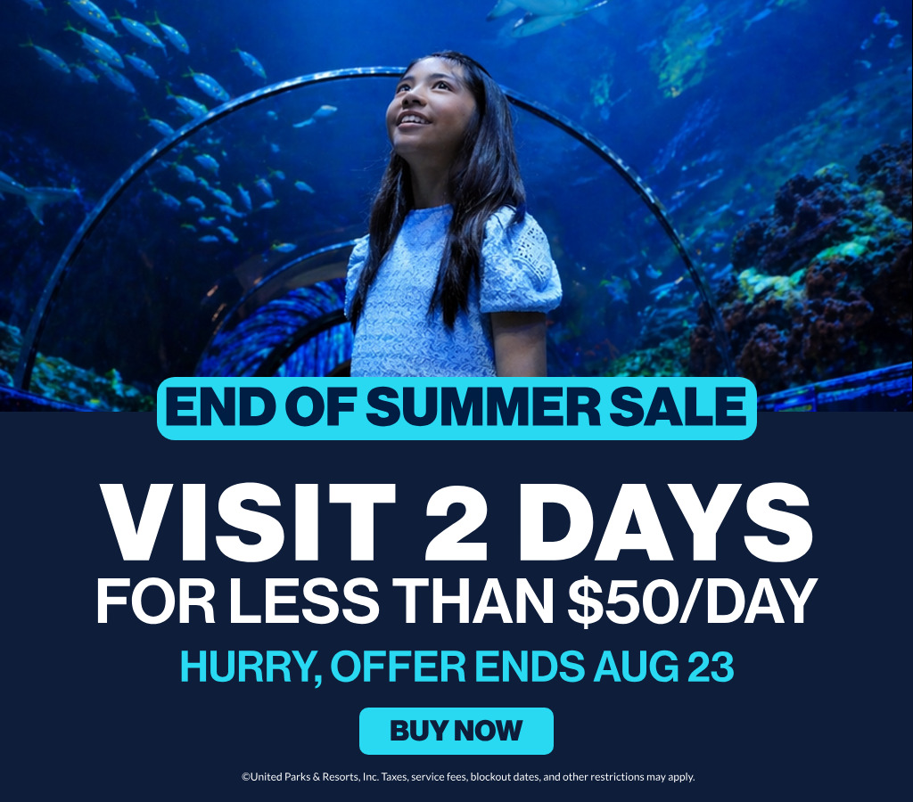 Visit 2 days for less than $50/day