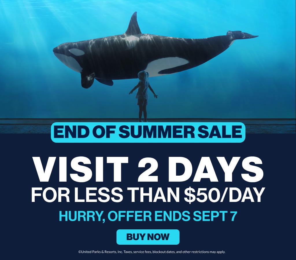 Visit 2 days for less than $50/day
