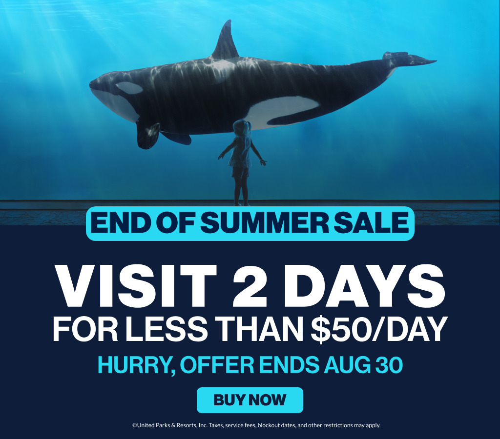 Visit 2 days for less than $50/day