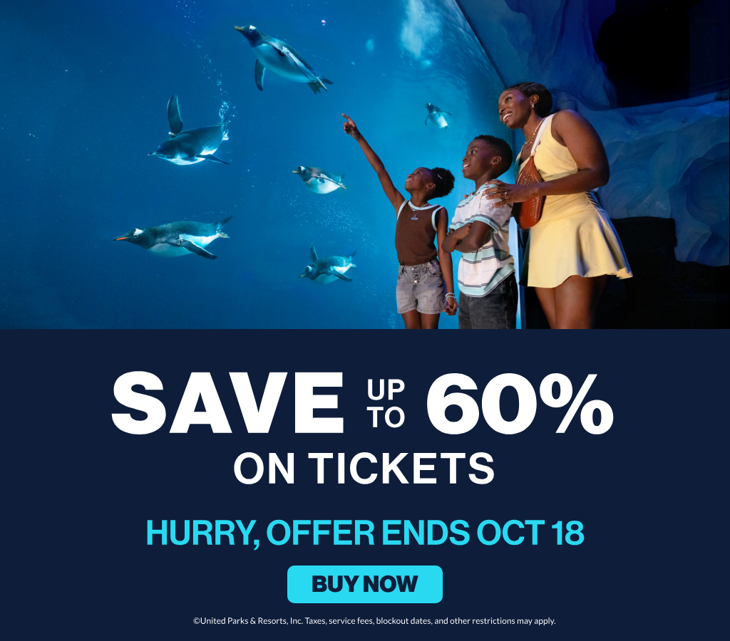Save up to 60% on tickets